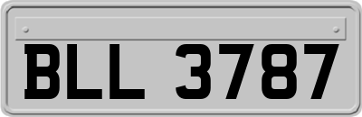 BLL3787