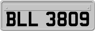 BLL3809