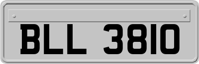 BLL3810
