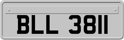 BLL3811