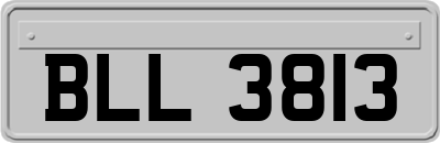 BLL3813