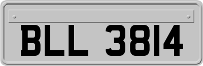 BLL3814