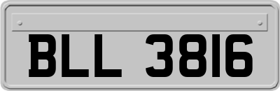 BLL3816