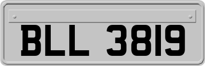 BLL3819