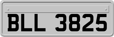 BLL3825