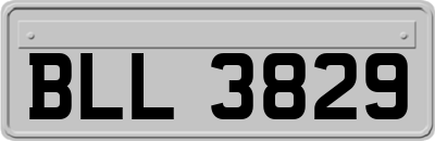 BLL3829