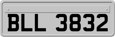BLL3832