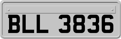 BLL3836