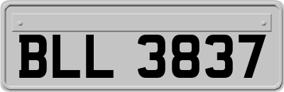 BLL3837