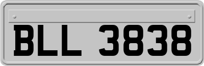 BLL3838