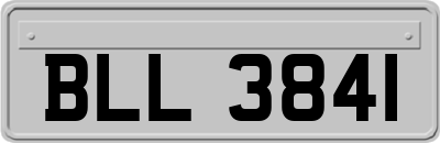 BLL3841