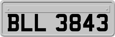 BLL3843