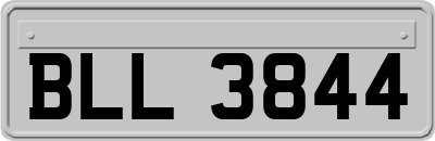 BLL3844