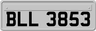 BLL3853