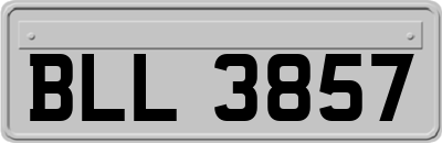 BLL3857
