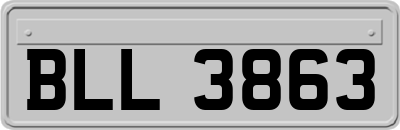 BLL3863