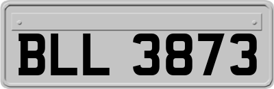 BLL3873