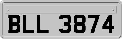 BLL3874