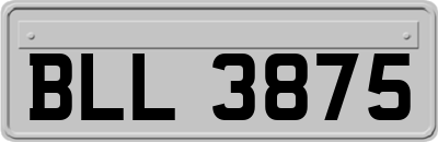 BLL3875