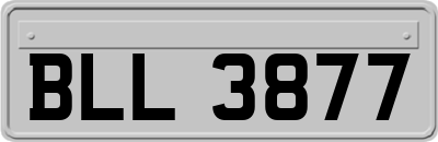 BLL3877