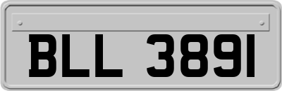 BLL3891