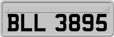 BLL3895