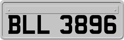 BLL3896