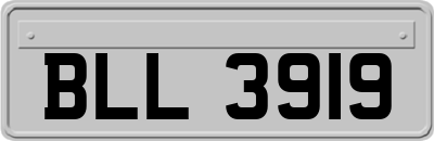 BLL3919