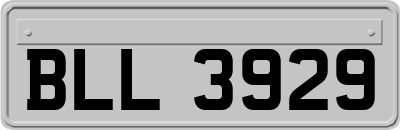 BLL3929