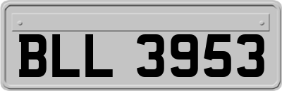 BLL3953
