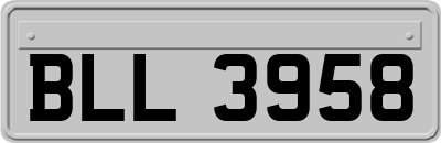 BLL3958