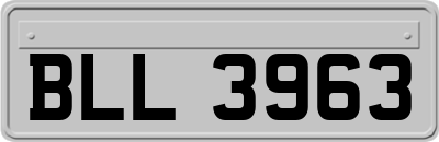 BLL3963