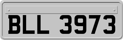 BLL3973