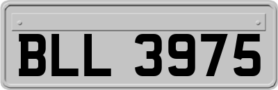 BLL3975