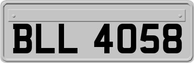 BLL4058
