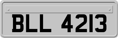 BLL4213