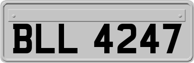 BLL4247