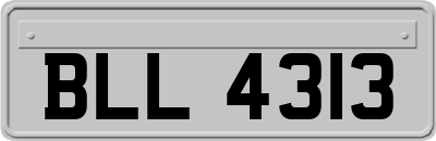 BLL4313