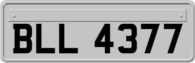 BLL4377