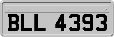 BLL4393