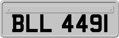 BLL4491