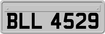 BLL4529