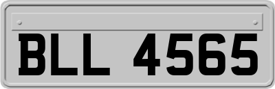 BLL4565