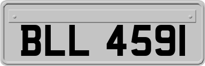 BLL4591