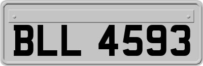 BLL4593