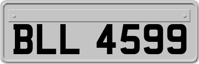 BLL4599