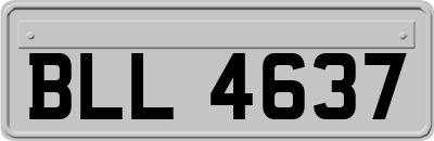 BLL4637