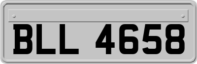 BLL4658