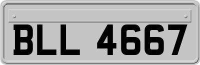 BLL4667