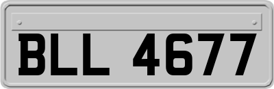 BLL4677